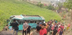 मनहरीमा बस पल्टिँदा १४ घाइते, ३ जना गम्भीर